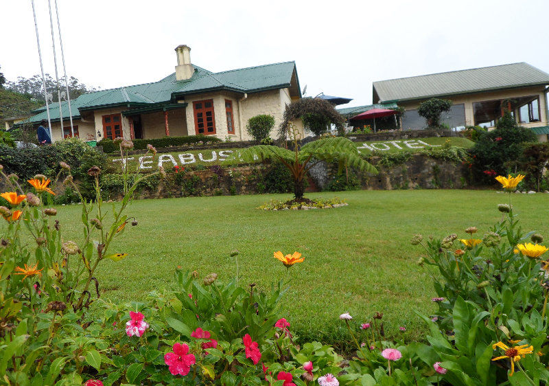 Tea Bush Hotel Νουβάρα Ελίγια Εξωτερικό φωτογραφία